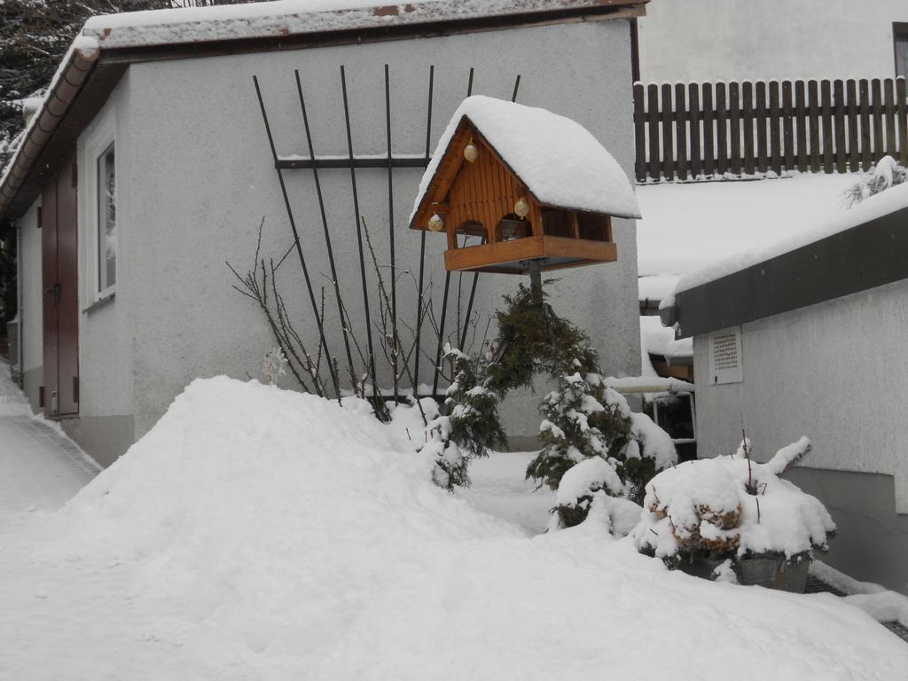 Ferienhaus Zittau Oberlausitz & Ferienwohnung Am Hamann Berg Exteriér fotografie